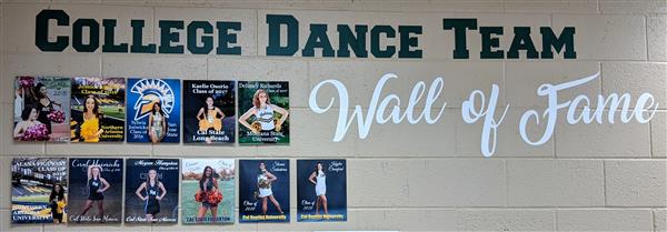 Mesa Rams Dance Team